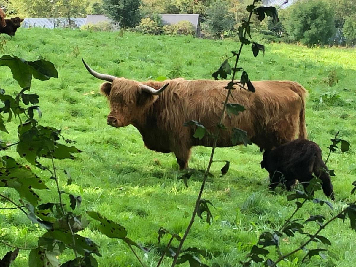 שמאלנברג Schoene Aussicht Sauerland By Koelbel Familienurlaub Mit Hund מראה חיצוני תמונה